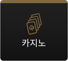 카지노