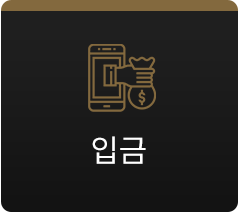 입금