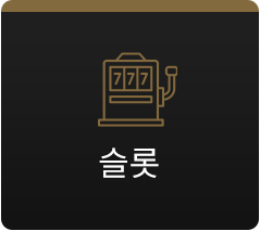 슬롯